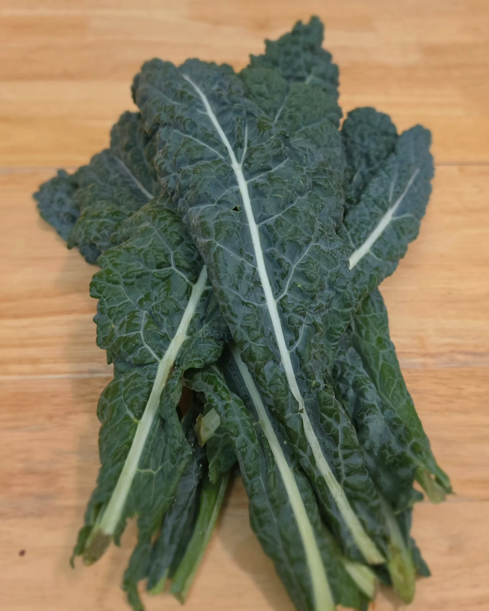 Lacinato Kale