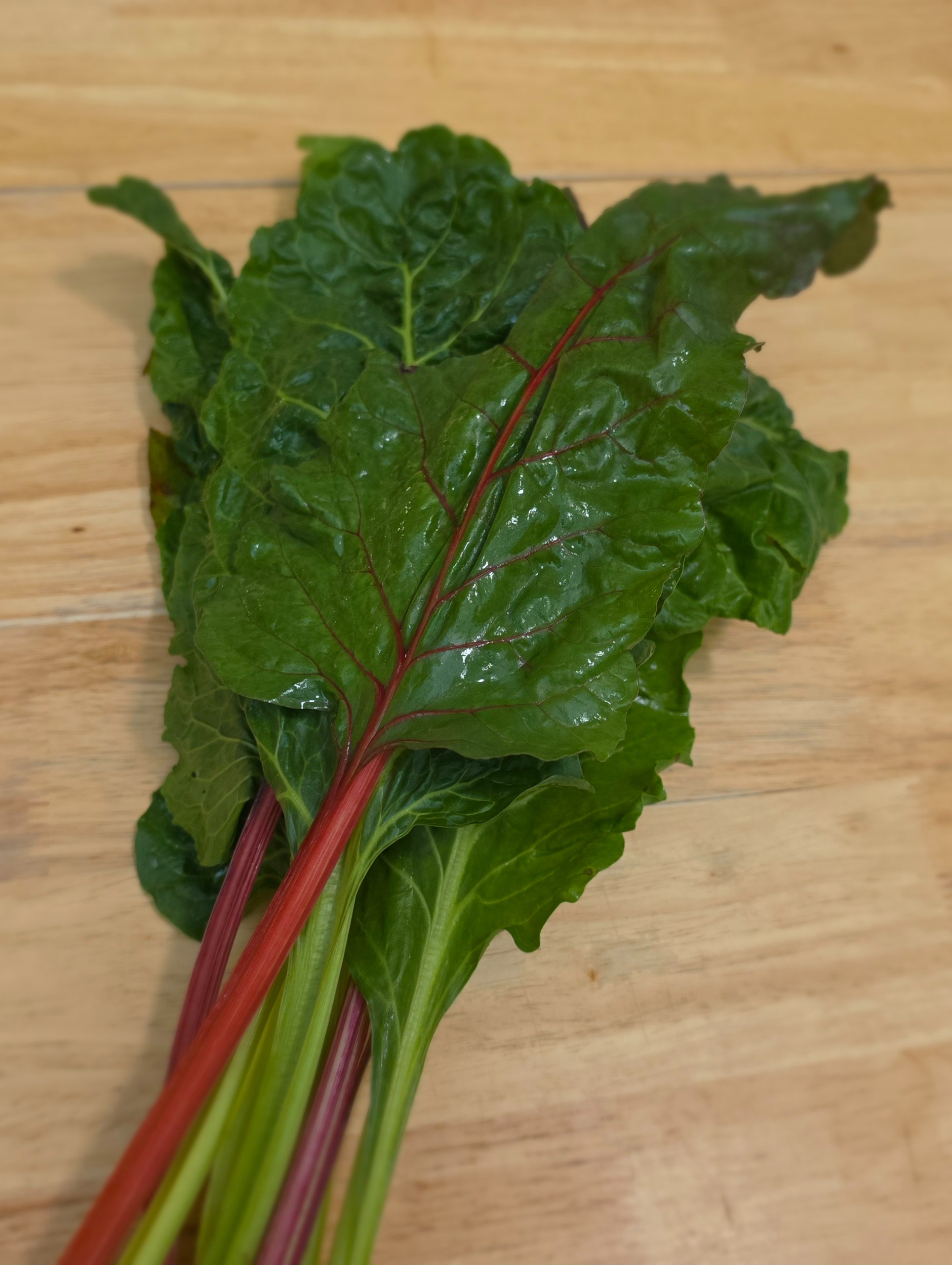 Swiss Chard