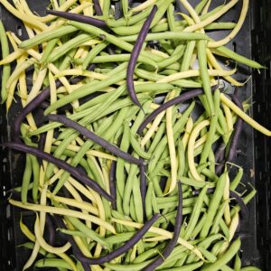 Beans