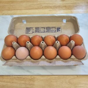 Large Organic Pasture Raised Eggs (1 Dozen)