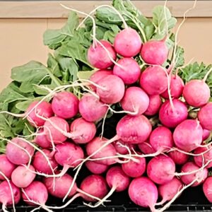 Radishes