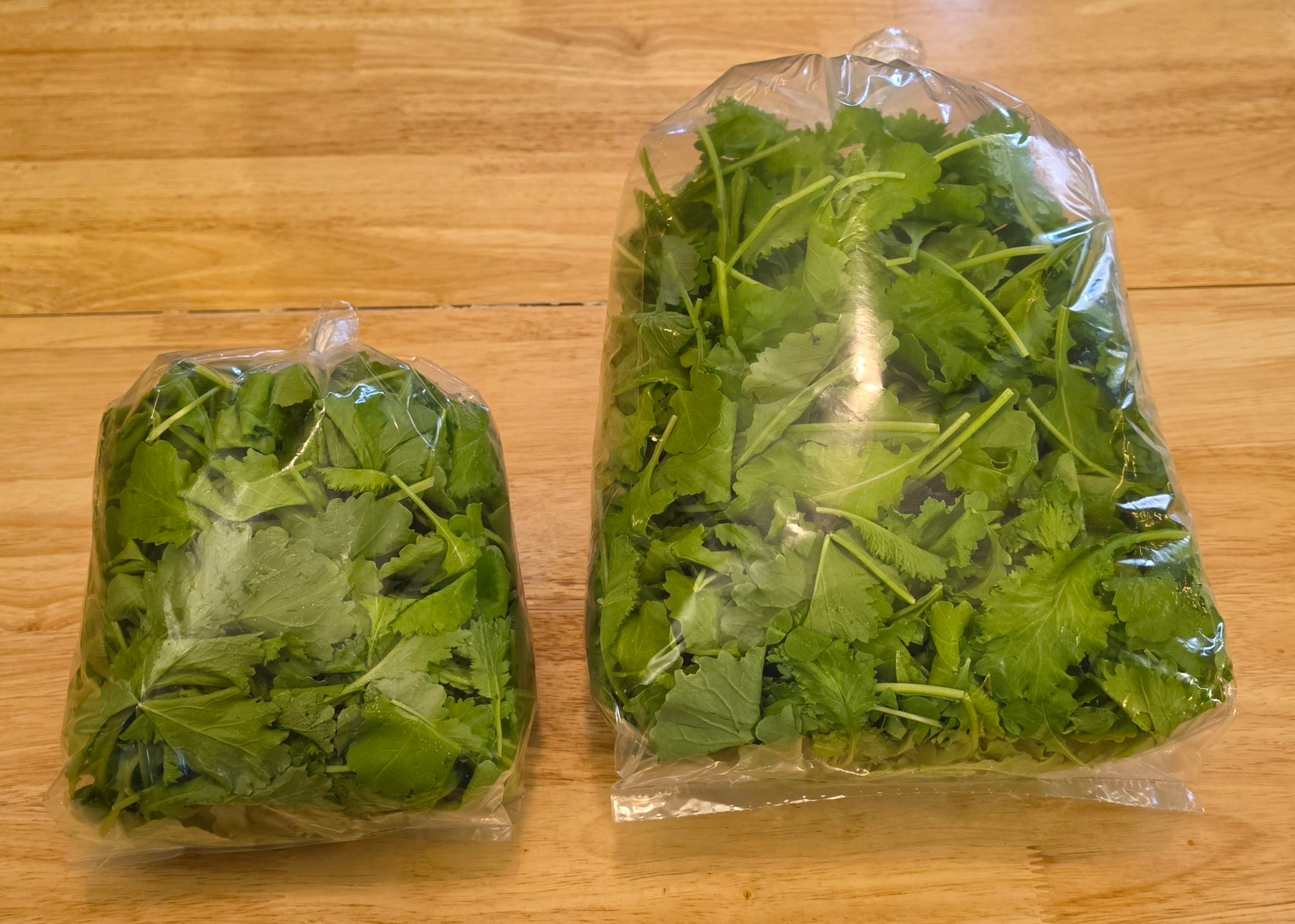 Mustard Greens (salad size)