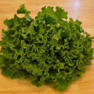 Green Leaf Lettuce