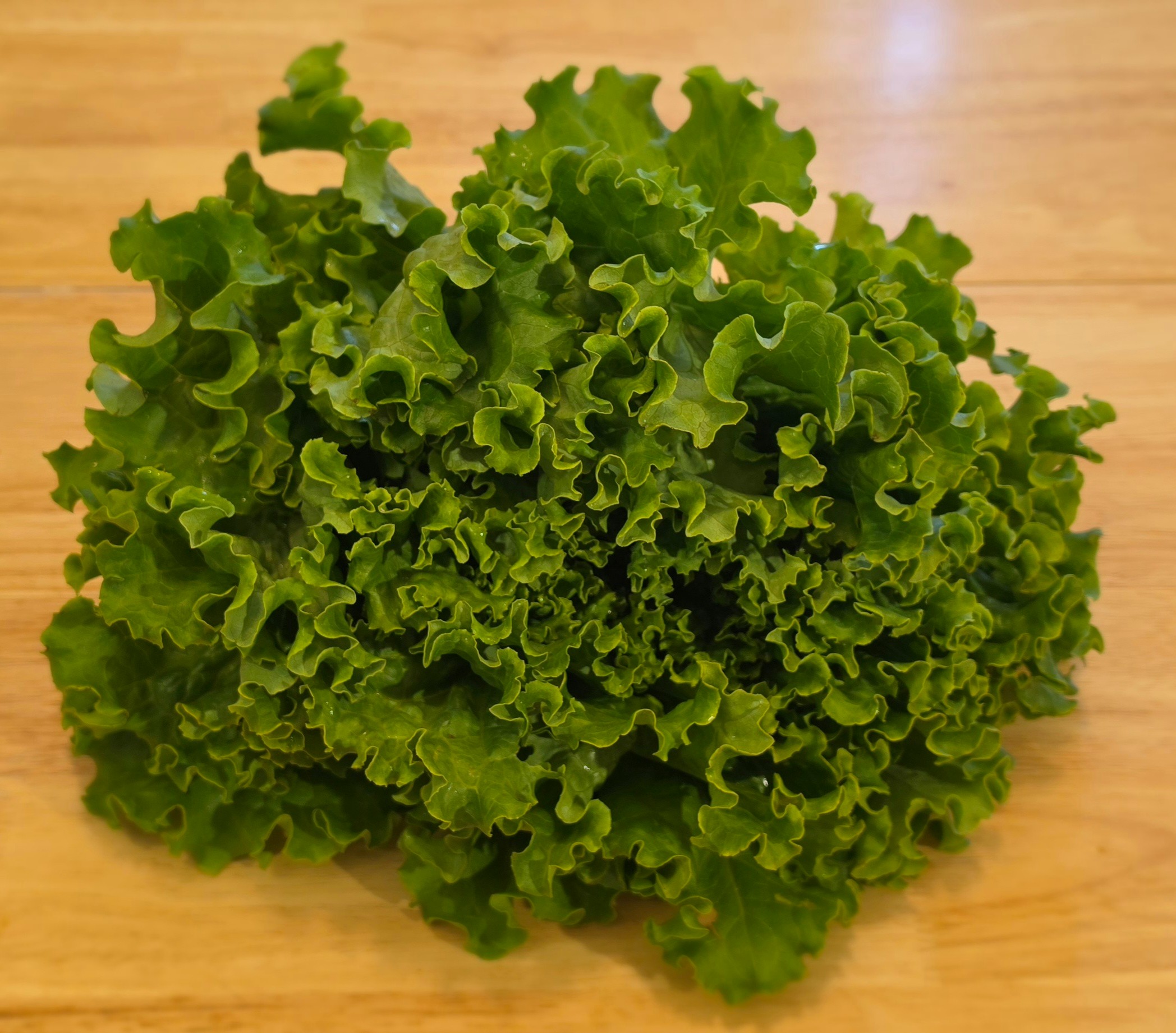Green Leaf Lettuce