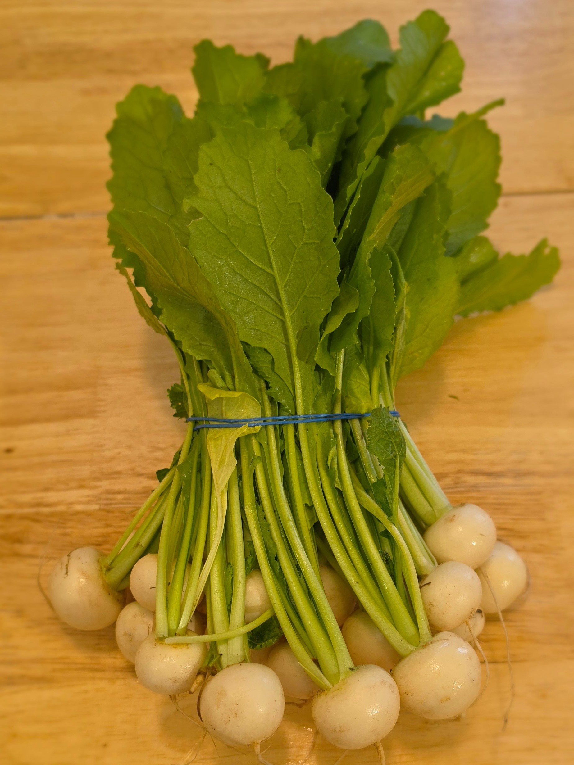 Salad Turnips