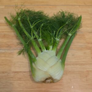 Fennel