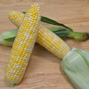 Sweet Corn