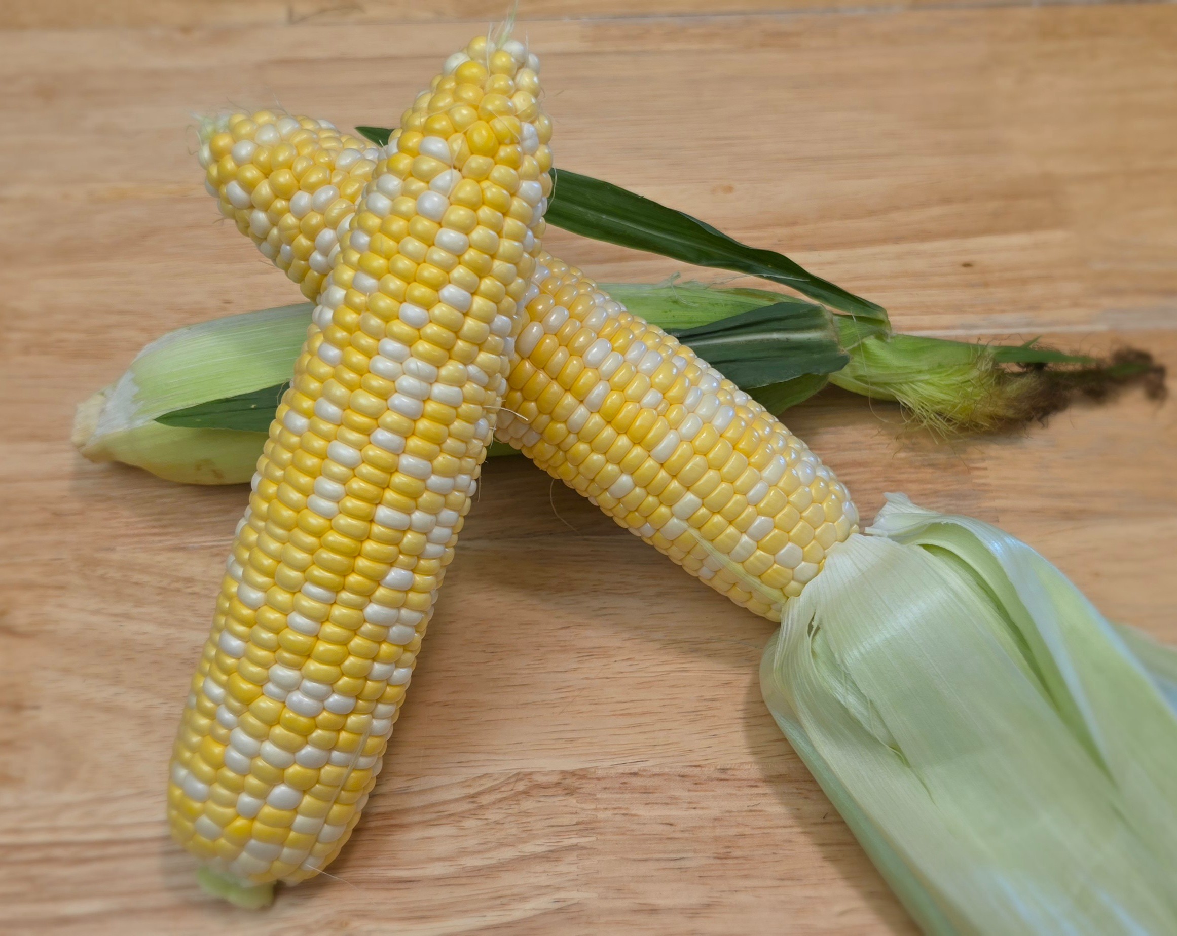 Sweet Corn
