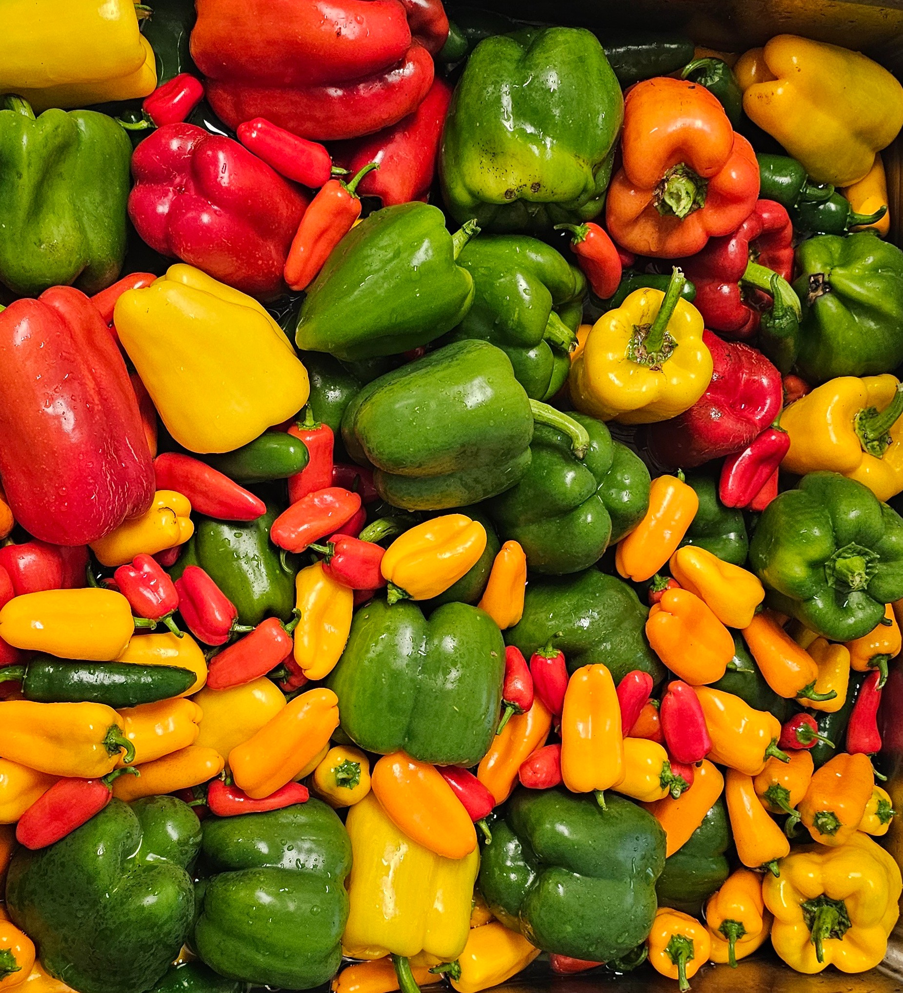 Peppers