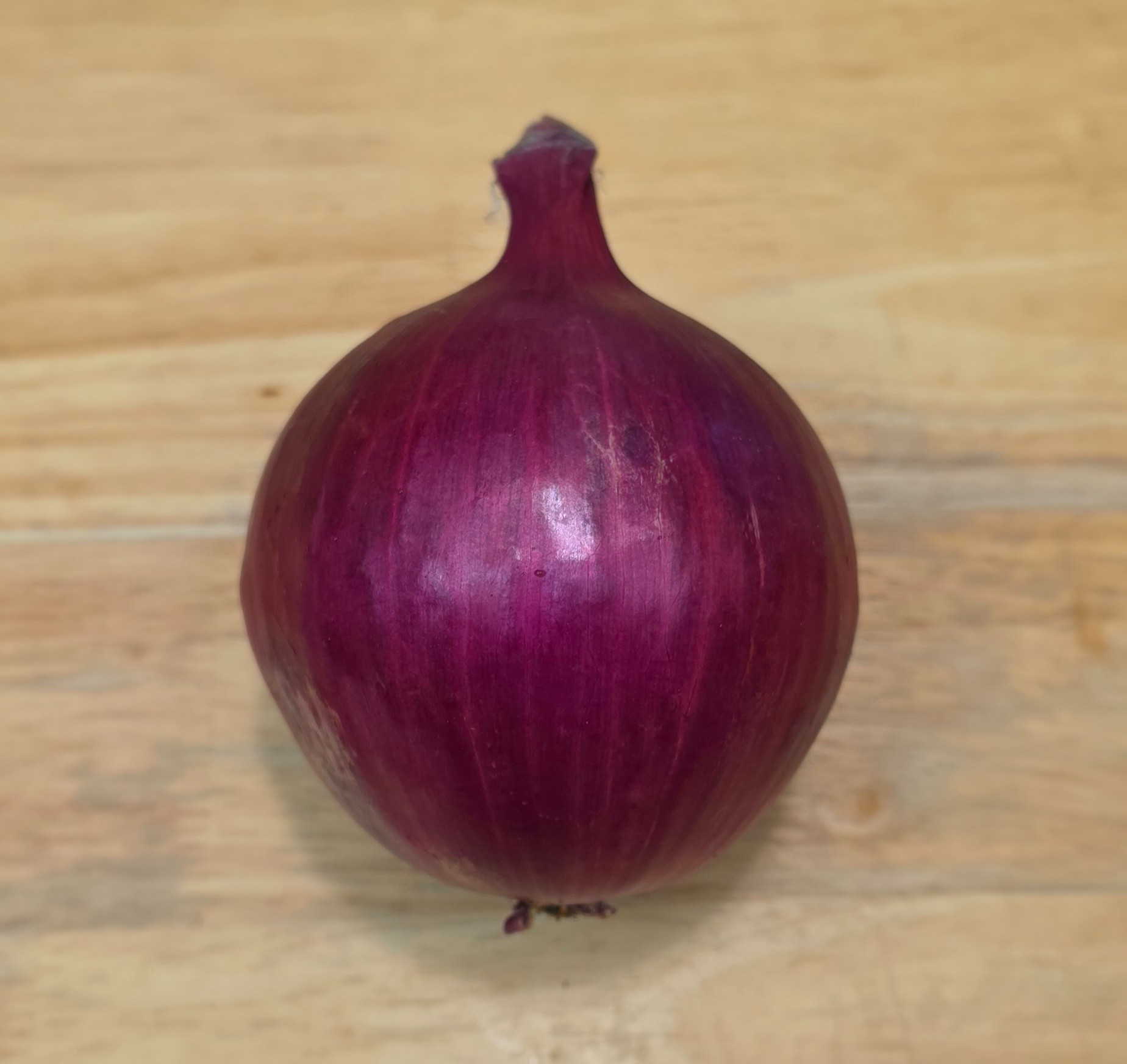 Jumbo Red Onion